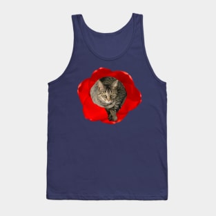 Kitty in a Flower Tank Top